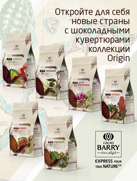 Cacao Barry Origine